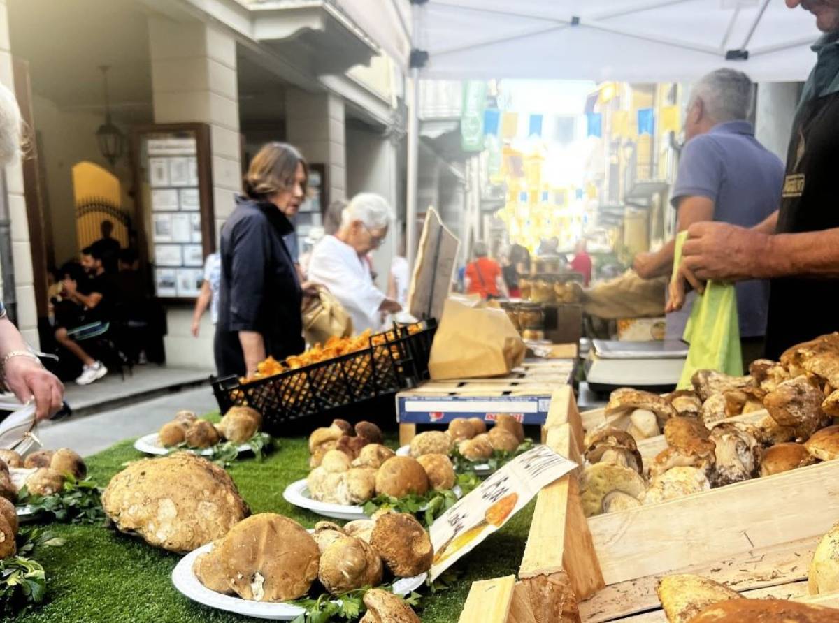 Cirié saluta l’estate con “Funghi in Piazza”: quattro giorni di festa nel cuore di Borgo Loreto